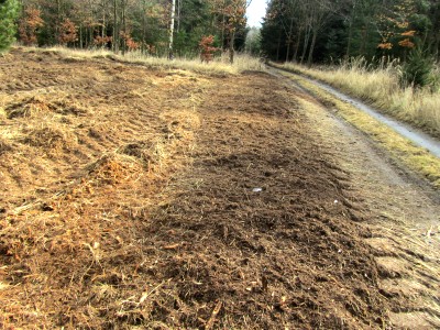 Rekforest s.r.o.