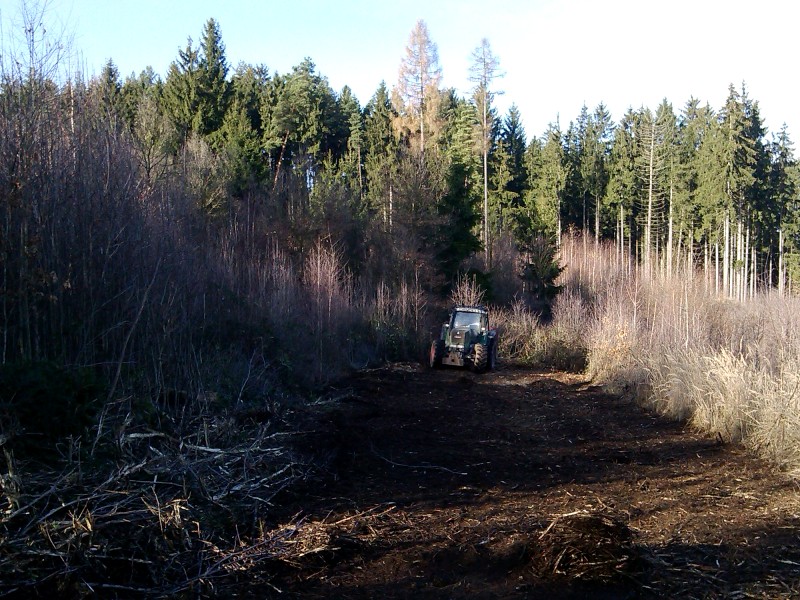 Rekforest s.r.o.